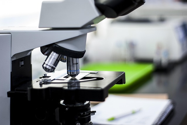 優(yōu)化聚氨酯網絡交聯：強凝膠型聚氨酯催化劑促進高交聯度，提升材料的耐溶劑性和耐熱性